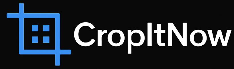 logo icon